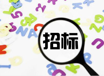 采購項目招標(biāo)代理典型業(yè)績